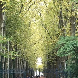 Meet your Posher, Dana